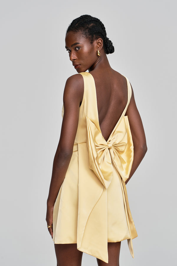 Amatus Sleeveless Backless Bow Mini Dress