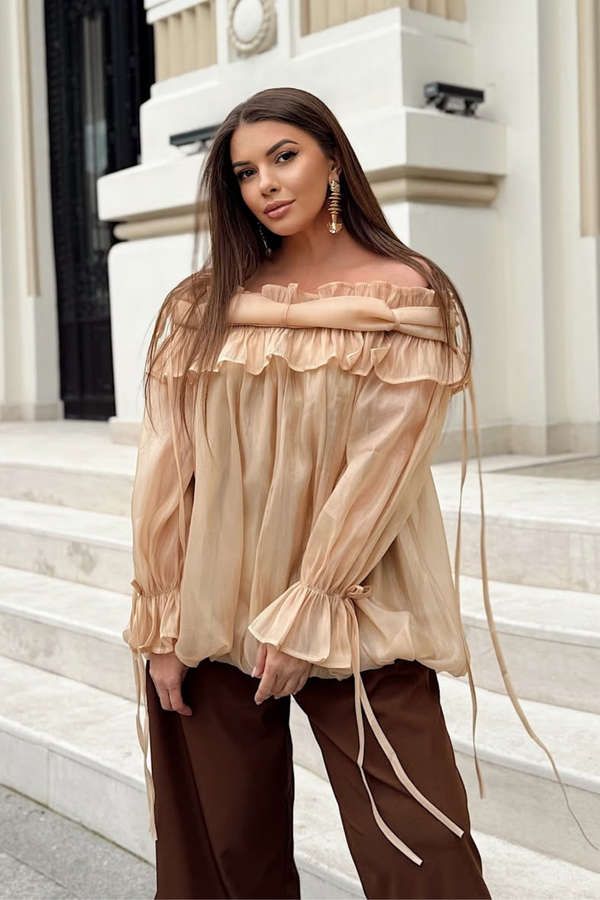 Aneirin Off Shoulder Mesh Ruffle Top