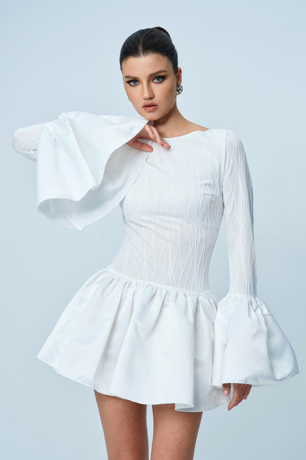 Anitra Ruffle Long Sleeve Mini Dress