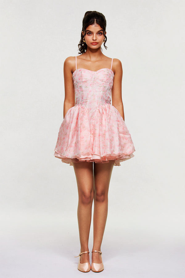 Blanch Floral Corset Ruffle Mini Dress