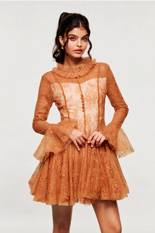 Blanid Lace Embroidered Ruffle Mini Dress In Brown