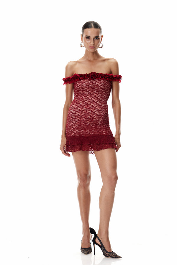 Cletus Flower Lace Mini Dress