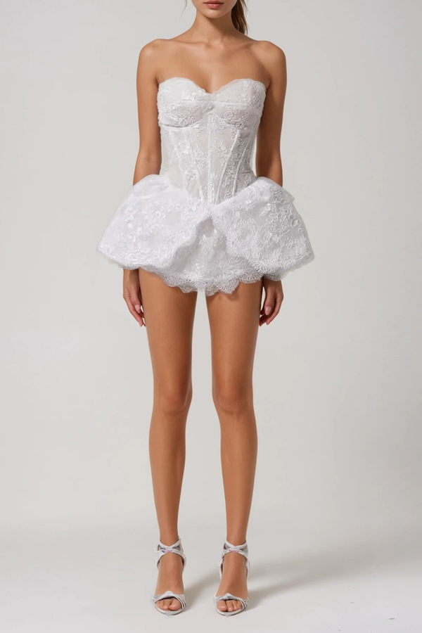 Donal Strapless Corset Lace Mini Dress