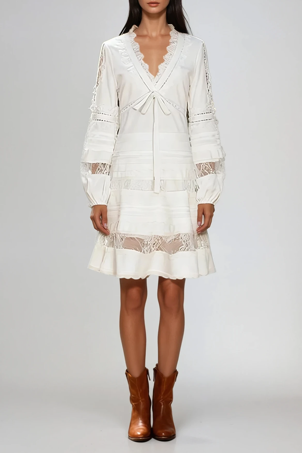 Dove V Neck Deconstruct Lace Mini Dress