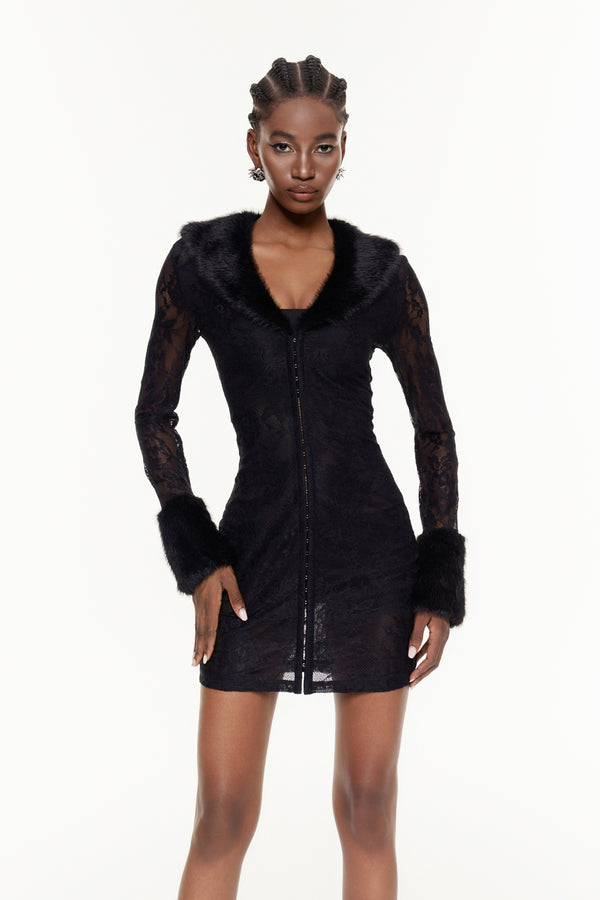 Fabianne Faux Fur Lace Mini Dress