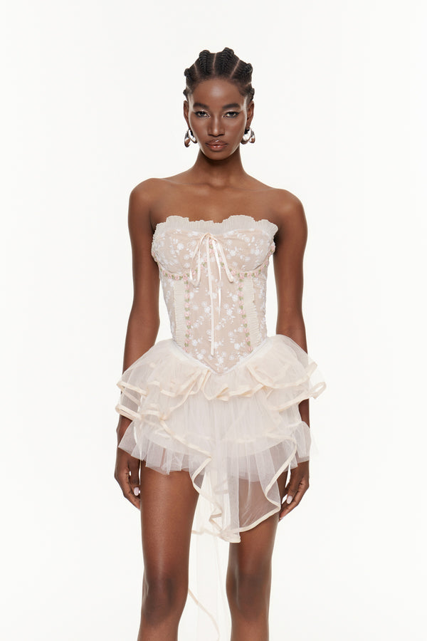 Fahim Strapless Mesh Mini Dress